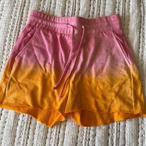 Beach Riot Shorts